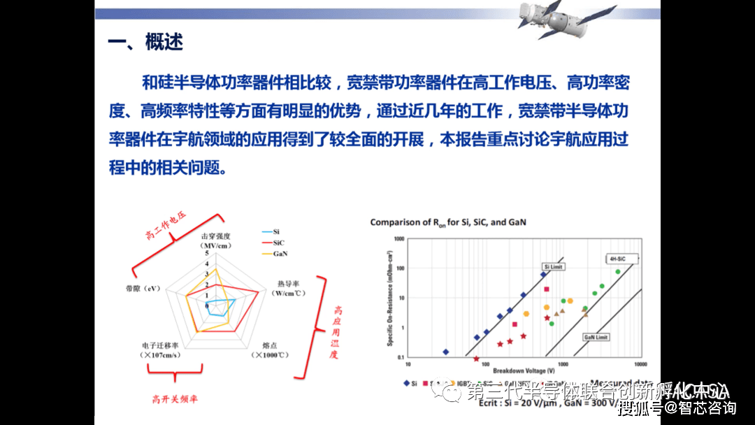 半衰期直播現象的多維探討與解析