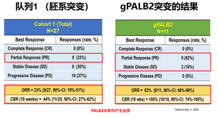 澳門四肖預測精準版，數據評估實踐展示_CFM68.493測試版