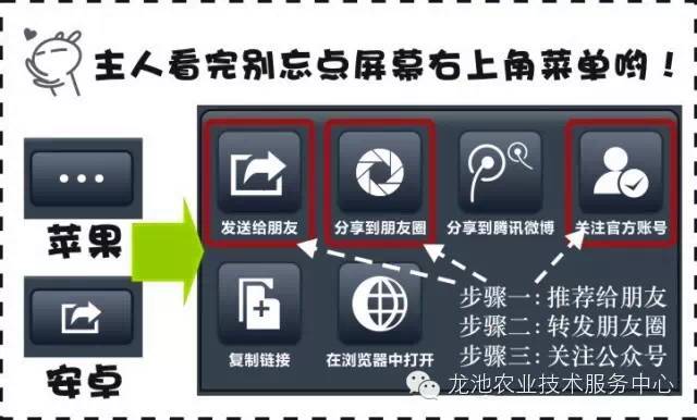 2024新澳正版資料免費分享，詳盡解析與實施指南_WSL 4.73.26專用版