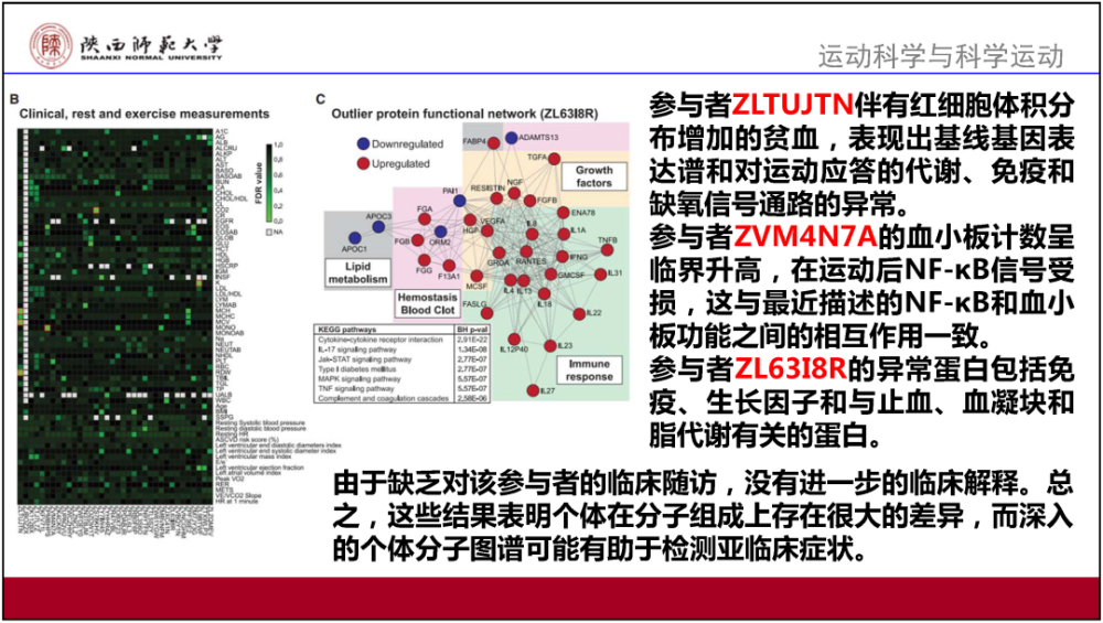 2024澳門資料寶典詳析：精準(zhǔn)方案解讀及PRN3.66.33定義版指南