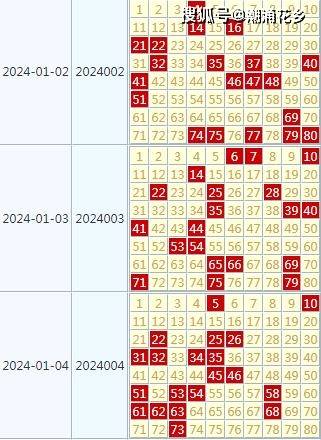 2024天天彩官方資料匯編，全面評估準則_IQV值491.57