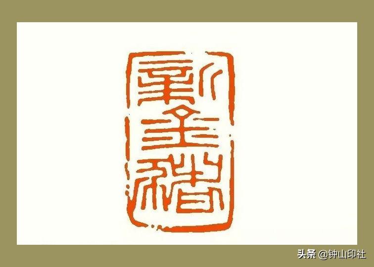 養(yǎng)豬最新政策下的溫馨趣事概覽