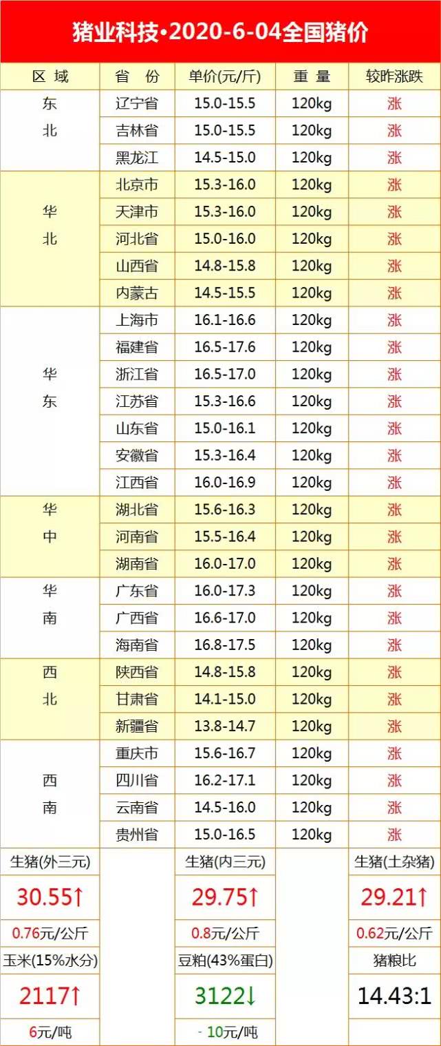 今日生豬價格行情及小巷深處的特色美食探索