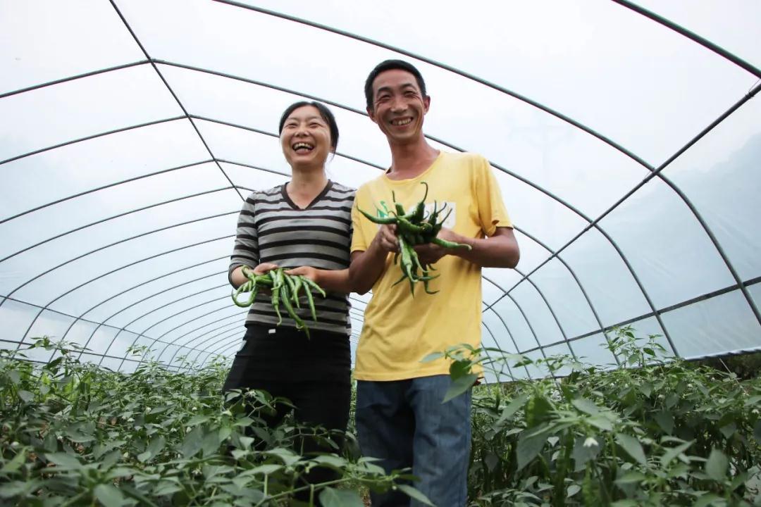 致富經最新視頻,致富經最新視頻，探索成功的秘訣與財富之路