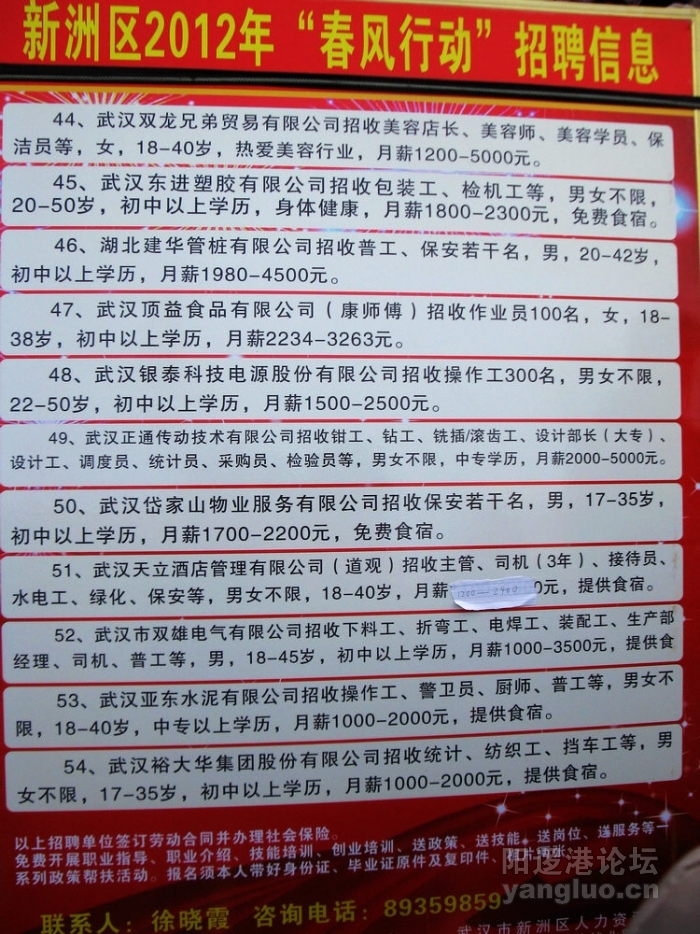 夷陵招聘最新信息，科技引領未來，共筑夢想之門