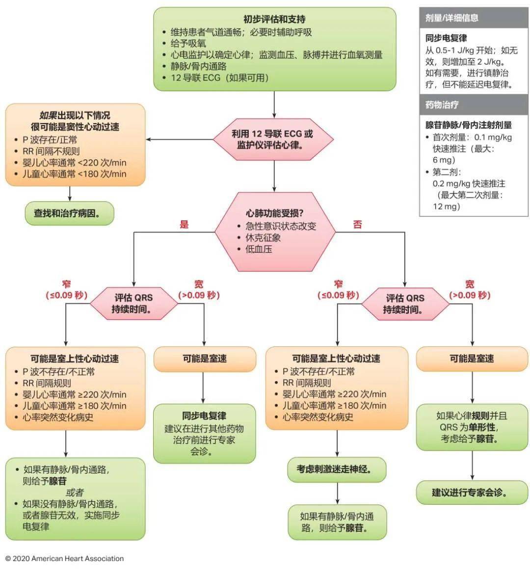 震撼發布！2024年最新心肺復蘇指南原版詳解與解讀??