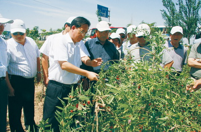 石嘴山蔣文齡，傳奇人物的現代足跡最新信息