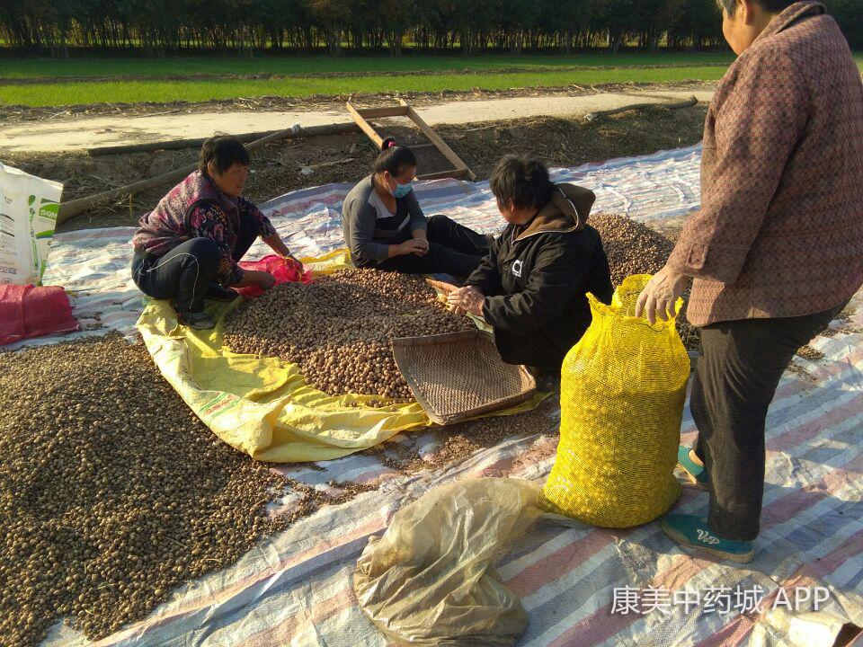 安國最新房屋出售信息及市場態勢深度解析