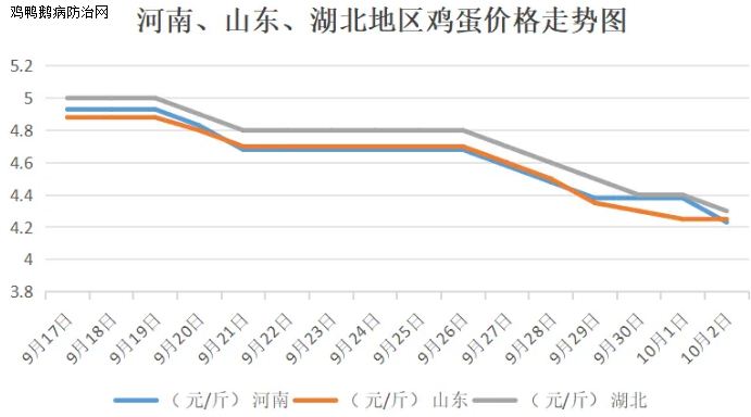 今日肉雞817價格行情深度解析與預測