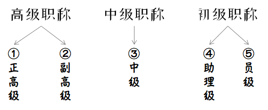 “解析職級并行新規細節”,解析職級并行新規細節——體驗未來科技的新里程碑